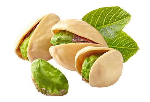 Sós és olajos magvak