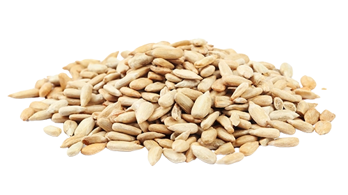 Hántolt napraforgó