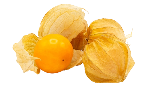 Liofilizált inkabogyó