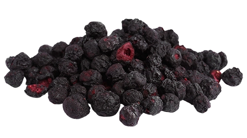 Liofilizált fekete berkenye