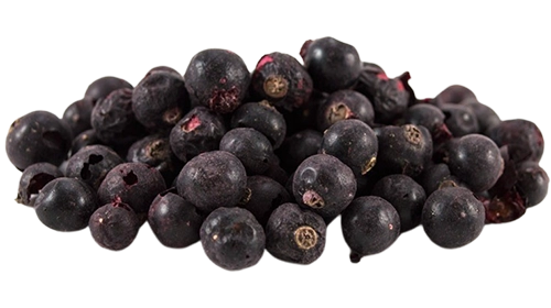Liofilizált fekete ribiszke