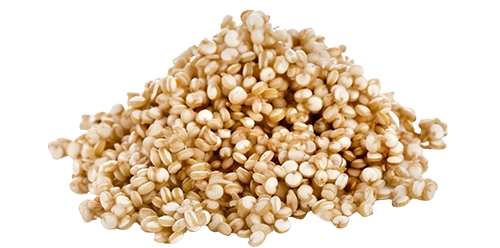 quinoa